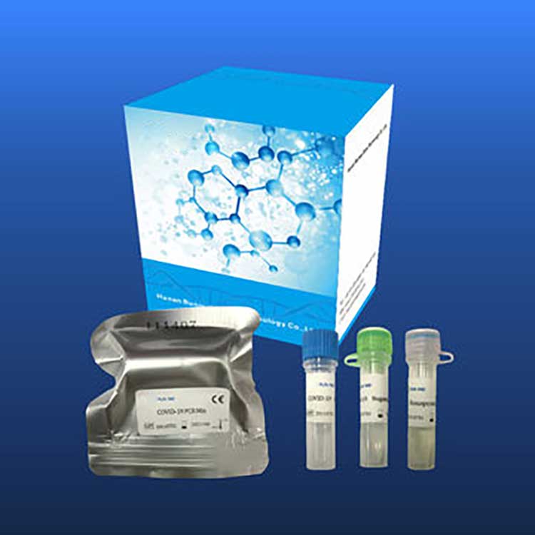 ʻO nā pahu hoʻāʻo lāʻau ʻo Reagent Diagnostic Test Kits No Covid-2019 No ka Pūnaewele Pcr manawa maoli