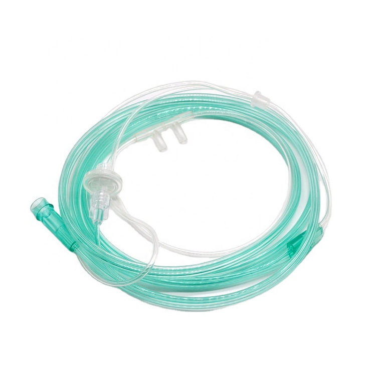 Cannula Lapaau