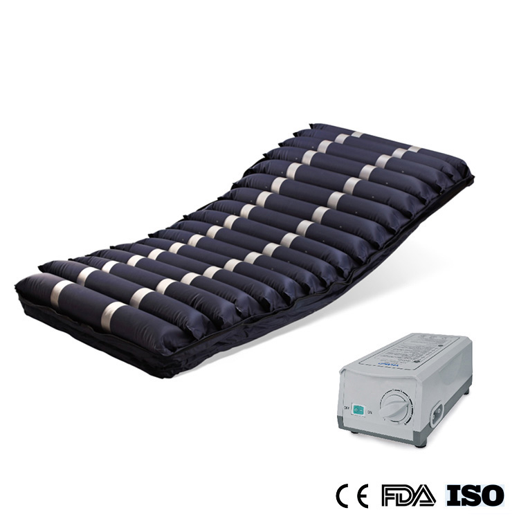 Moena Orthopedic