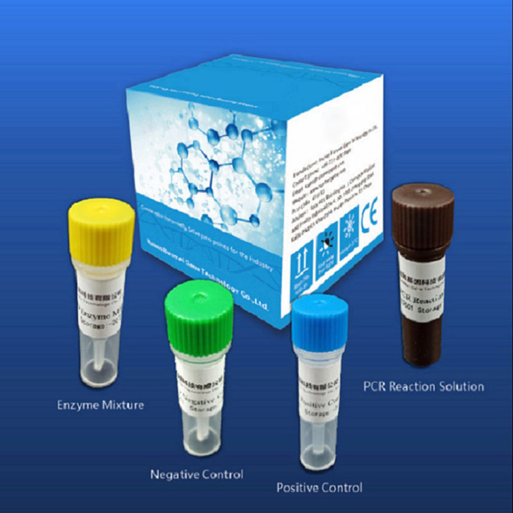 ʻO Reagent Diagnostic Test Kits No Covid-2019 Pili ʻia i ka Pcr Platform manawa maoli
