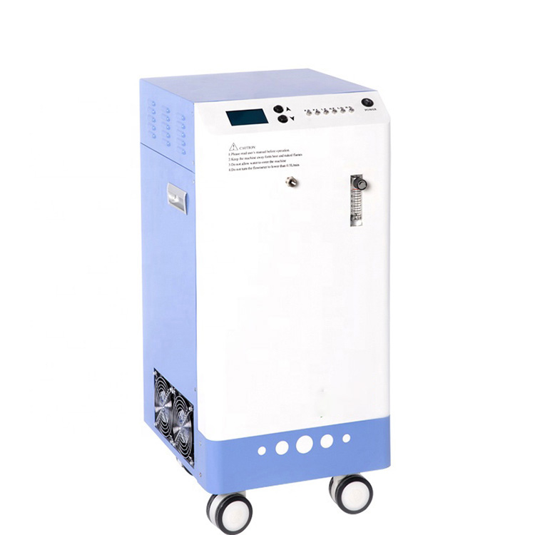 ʻAʻau ʻauʻau Disinfection Lako Ozone Generator
